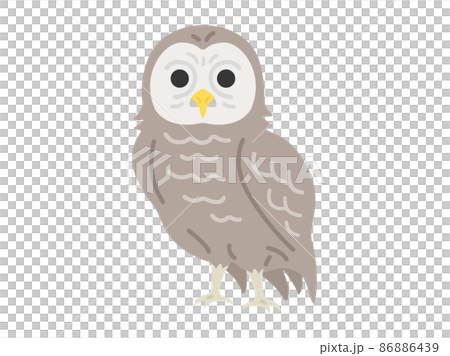 フクロウのイラスト フクロウのイラスト 86886439