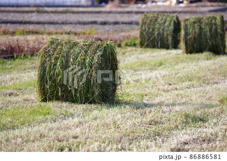 藁の収穫　牧草 86886581