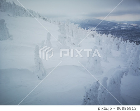 八甲田山の樹氷 86886915