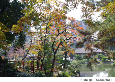 木立のある広島縮景園の景色 木立のある広島縮景園の景色 86887081