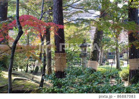 木立のある広島縮景園の景色 木立のある広島縮景園の景色 86887083