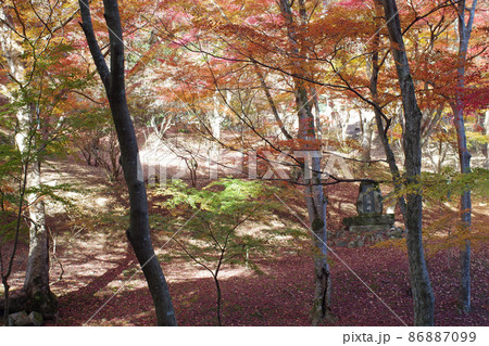 三次市尾関山公園の紅葉の景色の写真素材