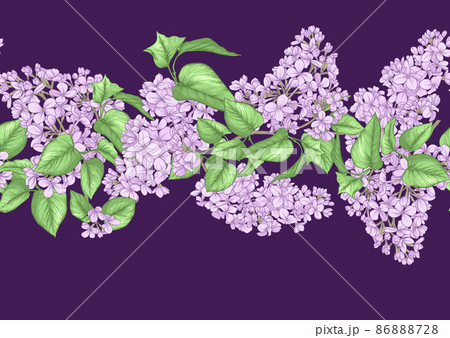 Seamless background with lilac flowers. 86888728