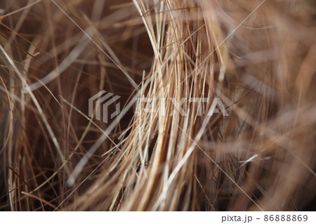 Detailed picture of womans hair Detailed picture of womans hair 86888869