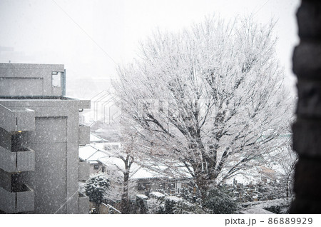 雪の日 雪の日 86889929