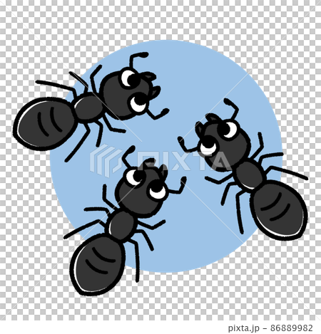 Cute black ant characters 86889982
