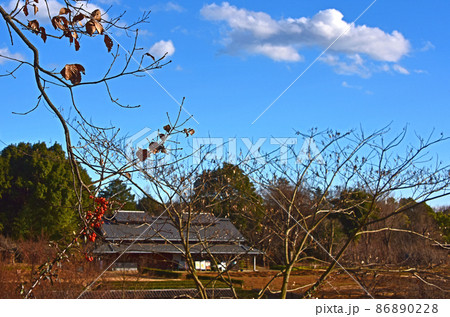 冬の風景 冬の風景 86890228