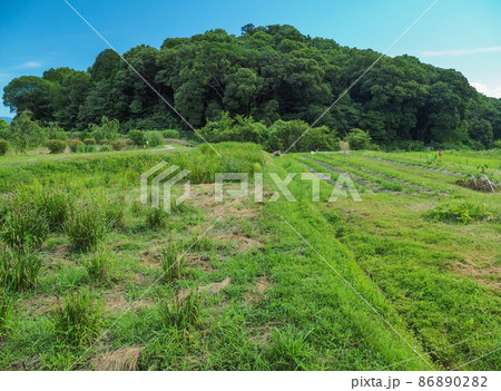 奈良県 天理市 山の辺の道 86890282