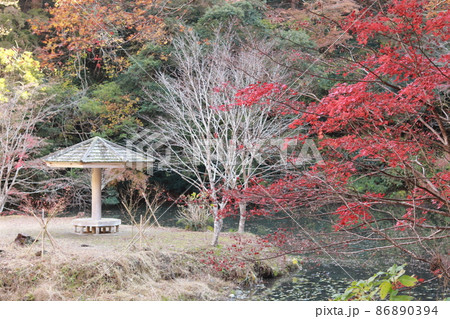 小松寺の紅葉 86890394