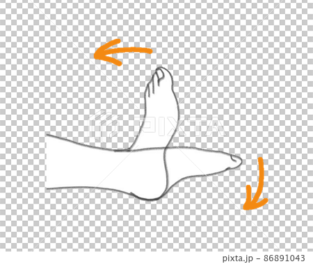 Ankle and joint movements 86891043