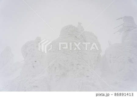 雪降る日の「山形蔵王の樹氷」　山形県山形市 86891413