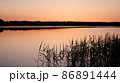 Water surface of the Lake and vegetation during sunset. 86891444