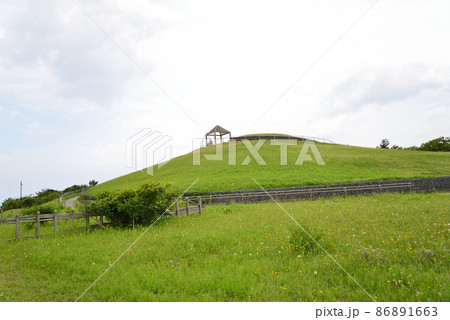 鹿島灘海浜公園へ行きました　　＃11 86891663