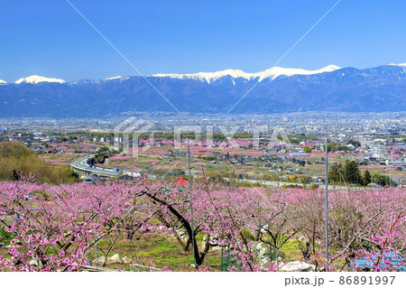 桃の花咲く甲府盆地 桃の花咲く甲府盆地 86891997