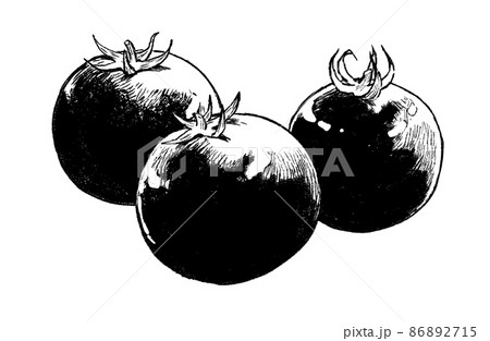 ペン画タッチのミニトマトのイラスト素材