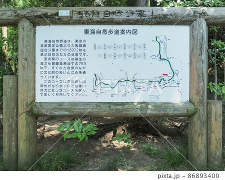 奈良県 桜井市 狭井神社 奈良県 桜井市 狭井神社 86893400