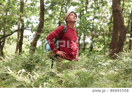 Outdoor shot of eldery man travels with backpack trough forest, backpacker goes along road along wood, has active vacation in mountains, posing with hand on hips up on sky. Traveling concept. 86893508