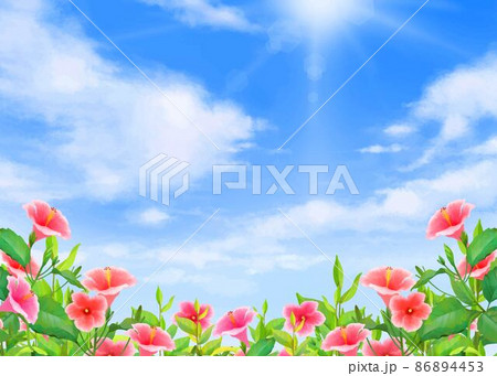 太陽差し込む青い空の下 ハイビスカスの咲く夏のおしゃれ背景素材のイラスト素材