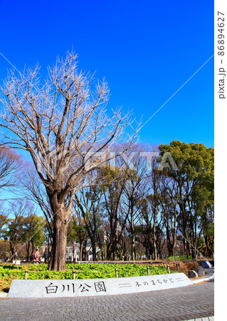 名古屋市、白川公園の風景 86894627