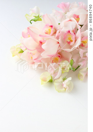 シンビジウムの花束 シンビジウムの花束 86894740