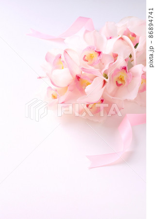 シンビジウムの花 シンビジウムの花 86894741