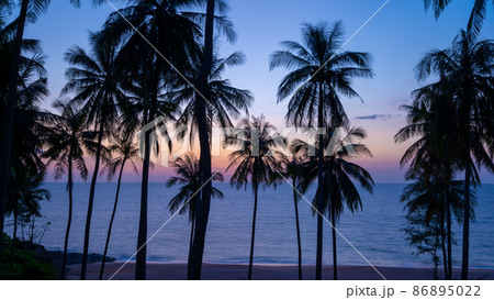 Silhouette coconut palm trees at sunset or sunrise sky over sea Amazing light nature colorful landscape Beautiful light nature sky and clouds 86895022