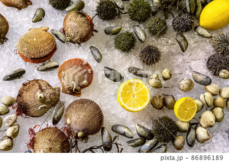 Assorted fresh raw seafoods (Oyster, Sea Urchin, Mussels and Scallops) on ice at the fish market. Assorted fresh raw seafoods (Oyster, Sea Urchin, Mussels and Scallops) on ice at the fish market. 86896189