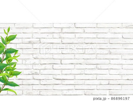 新緑と白いレンガのアンティークなおしゃれ白バック壁紙背景素材のイラスト素材