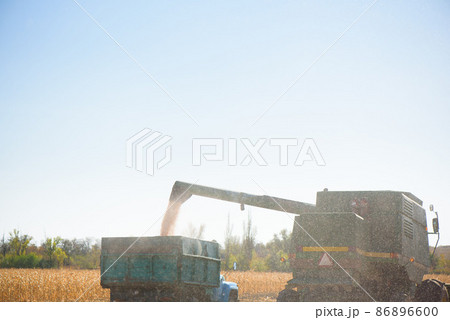 Combine harvester in wheat field on autumn day. Combine harvester in wheat field on autumn day. 86896600
