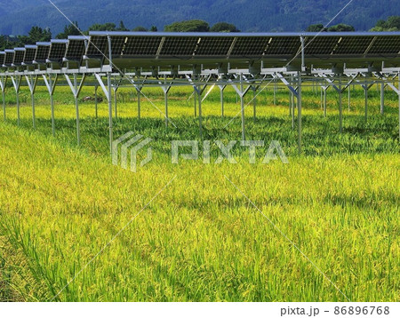 田園の太陽光発電　田園の活用でソーラー発電 86896768