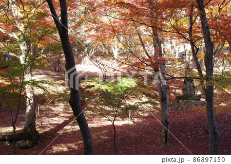 三次市尾関山公園の紅葉の景色 三次市尾関山公園の紅葉の景色 86897150