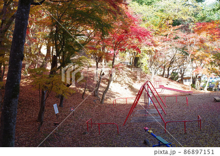 三次市尾関山公園の紅葉の景色 三次市尾関山公園の紅葉の景色 86897151