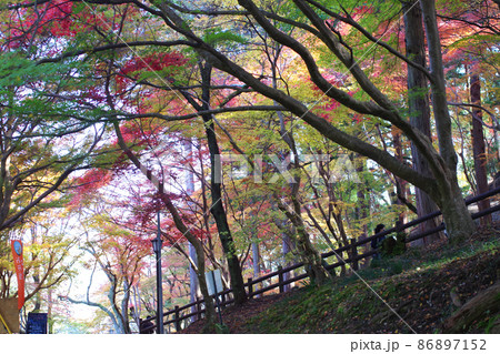 三次市尾関山公園の紅葉の景色 三次市尾関山公園の紅葉の景色 86897152