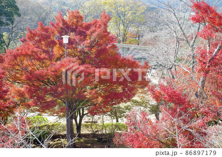 三次市尾関山公園の紅葉の景色 三次市尾関山公園の紅葉の景色 86897179