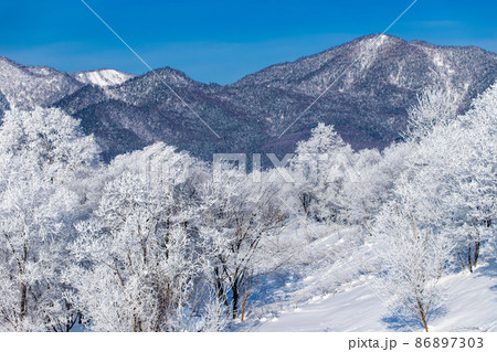 北海道冬の風景　富良野市の樹氷 86897303
