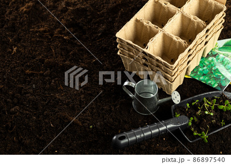 Seeds, gardener prepares the seedlings.Gardener sows seeds are watered and cares sown into pots of peat Seeds, gardener prepares the seedlings.Gardener sows seeds are watered and cares sown into pots of peat 86897540