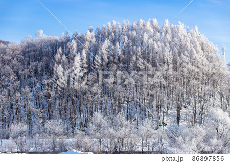 北海道冬の風景　富良野市の樹氷 86897856