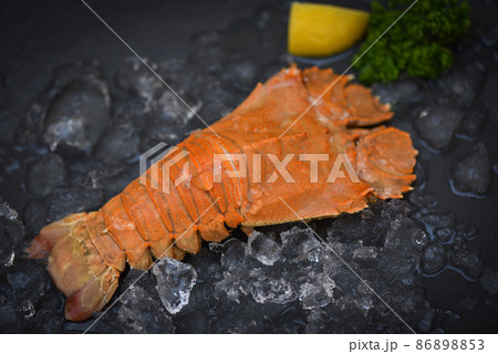Rock Lobster Moreton Bay Bug, Flathead lobster shrimps on ice, Fresh slipper lobster flathead boiled for cooking in the seafood restaurant kitchen or seafood marke 86898853