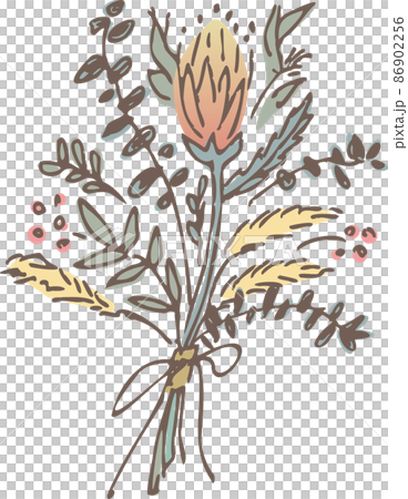 手繪乾花（無包裝） 86902256