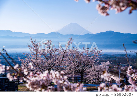 (山梨県)桃花橋公園ループ橋の桜と富士山 (山梨県)桃花橋公園ループ橋の桜と富士山 86902607