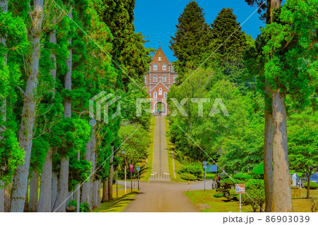 トラピスト修道院と杉並木道 トラピスト修道院と杉並木道 86903039