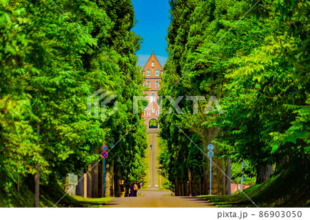 トラピスト修道院と杉並木道 トラピスト修道院と杉並木道 86903050