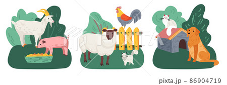 Colored Farm Animal Icon Set Colored Farm Animal Icon Set 86904719