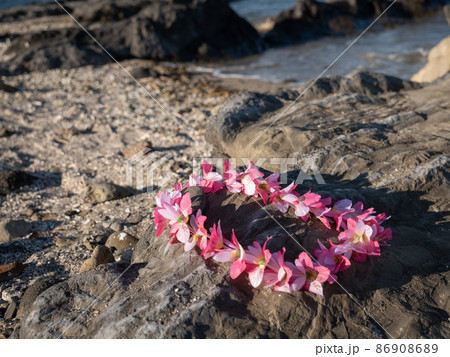 アロハ　フラダンス　ハワイアンレイ  砂浜 86908689