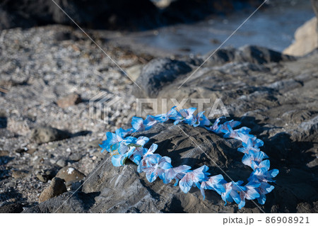 ハワイアン フラダンス フラダンスレイ 首飾り ハワイアン フラダンス フラダンスレイ 首飾り 86908921