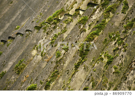 Green moss and algae on slate roof tiles. Texture background. Old slate covered with islands of green moss. Green moss and algae on slate roof tiles. Texture background. Old slate covered with islands of green moss. 86909770