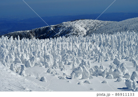 山形蔵王　地蔵岳東斜面の林立する樹氷 86911133