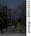 ゆきげしき　　Snow scene 86913928
