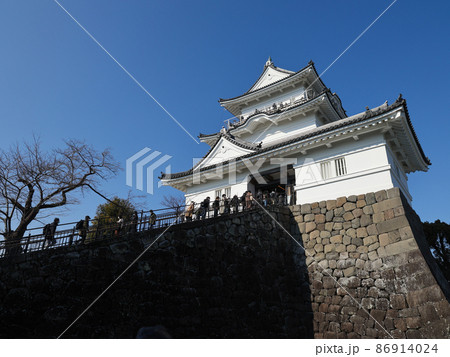 冬の小田原城　神奈川県小田原市、日本 86914024