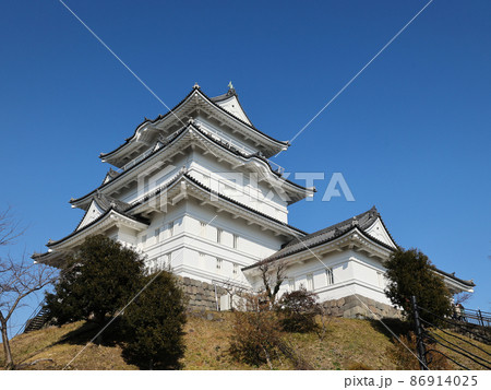冬の小田原城　神奈川県小田原市、日本 86914025